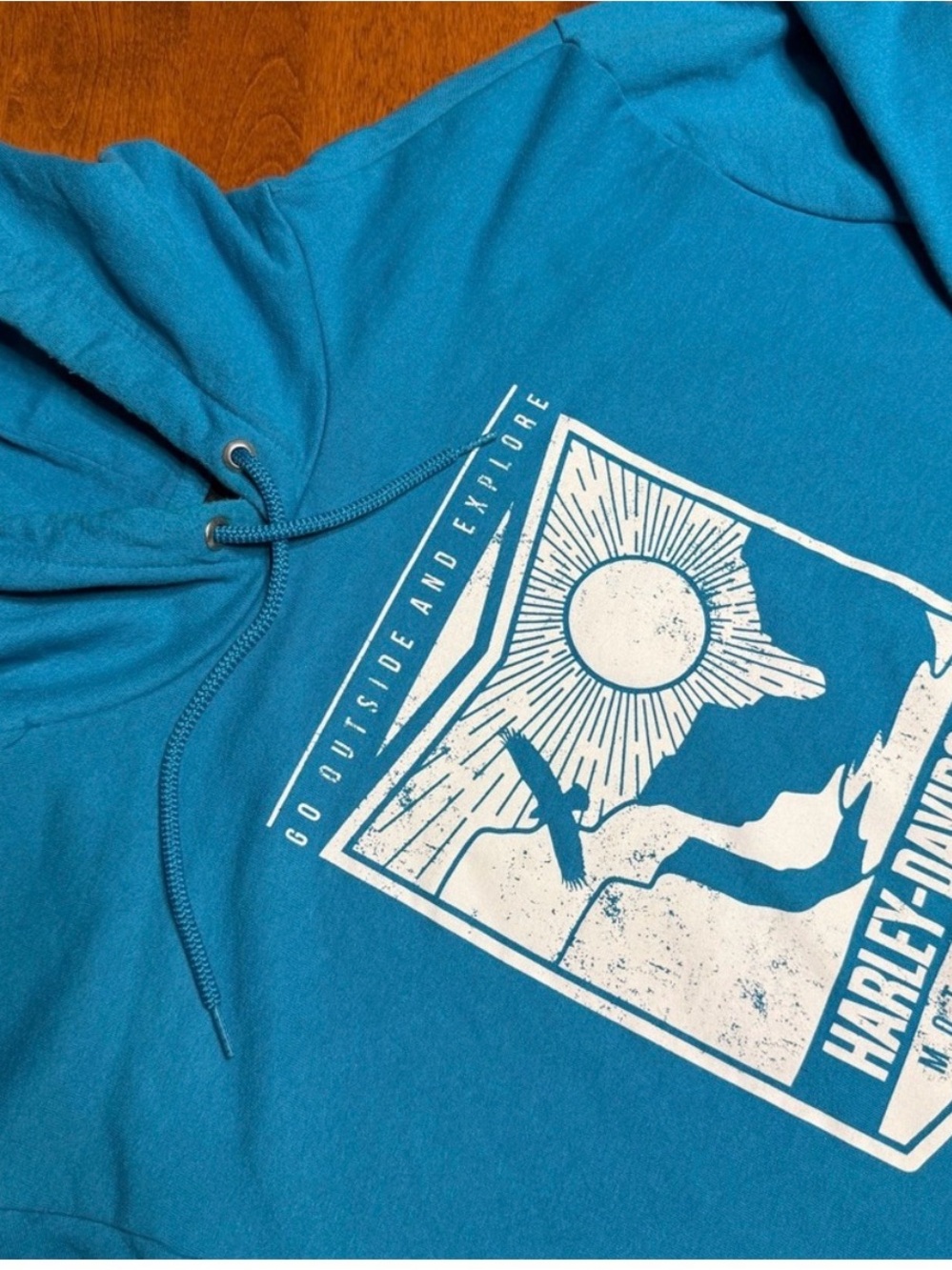 Harley-Davidson Teal Blue Graphic Hoodie Pensacola, Florida